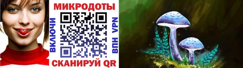 Псилоцибиновые грибы Psilocybine cubensis  Кингисепп 