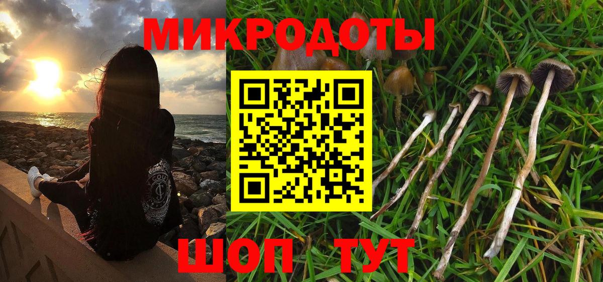 где продают   Псилоцибиновые грибы Psilocybine cubensis  Вход с VPN  Кингисепп 