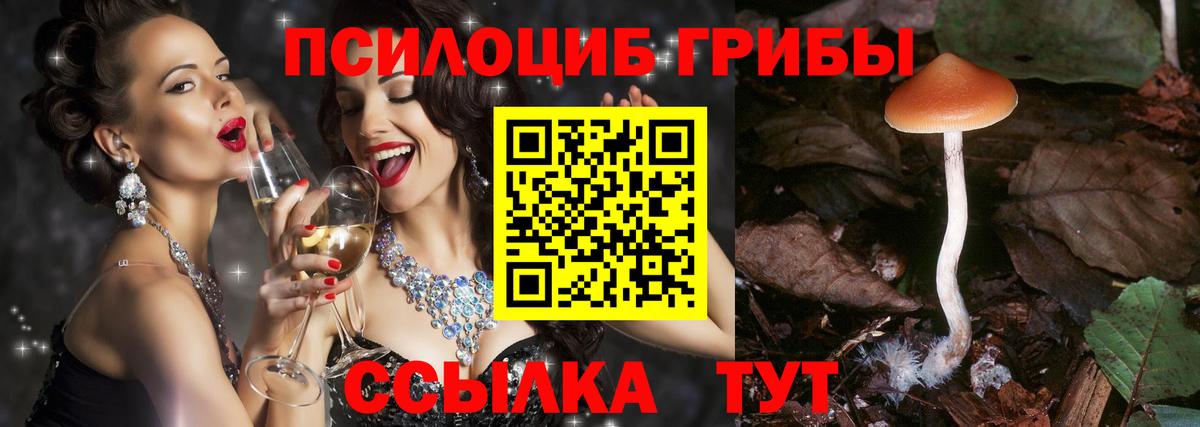 Галлюциногенные грибы MAGIC MUSHROOMS Кингисепп