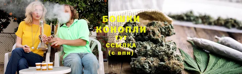 Конопля SATIVA & INDICA  Кингисепп 