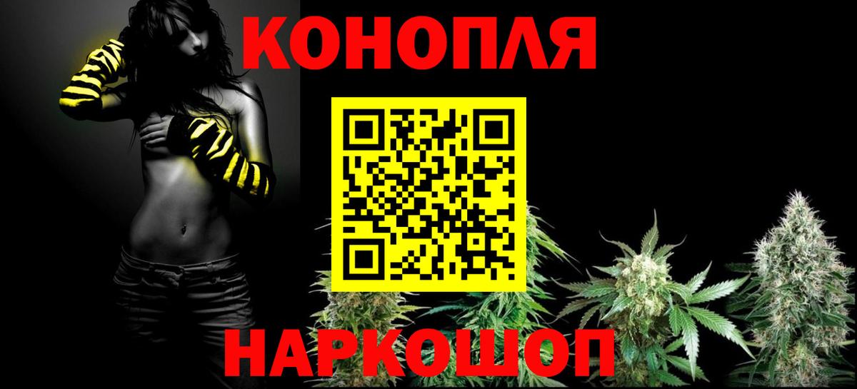 Конопля план Кингисепп